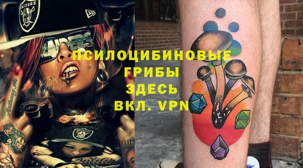 эйфоретик Вяземский