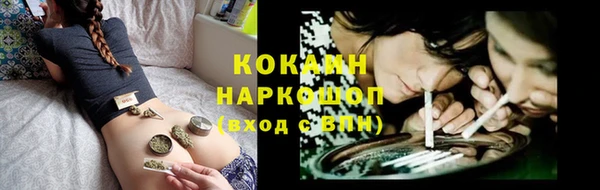 apvp Горняк