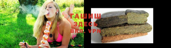 эйфоретик Вяземский