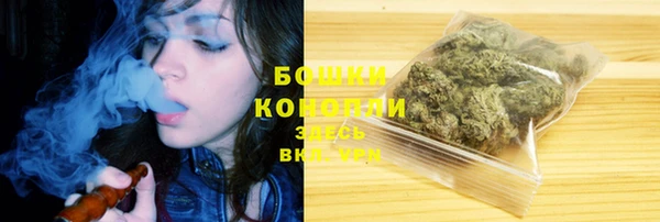 эйфоретик Вяземский