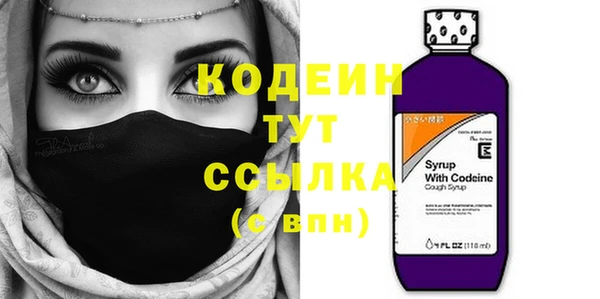 эйфоретик Вяземский