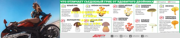 каннабис Горно-Алтайск