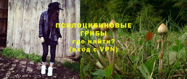 эйфоретик Вяземский