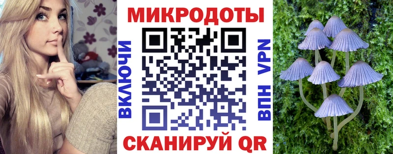 Галлюциногенные грибы Psilocybe  Батайск 